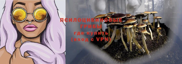 тгк Алексеевка